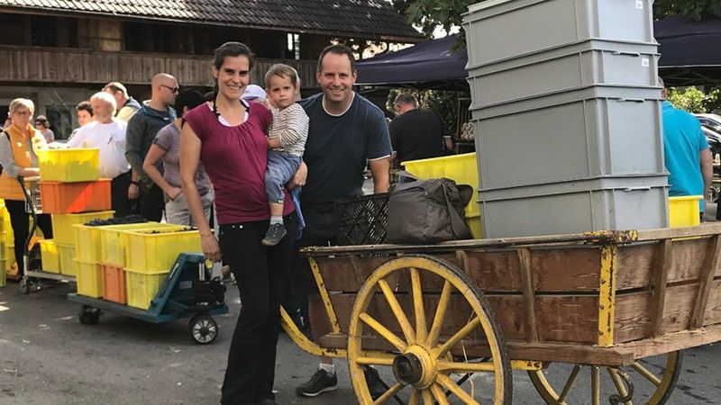 Anlieferung der Trauben und abgefüllte Flaschen.